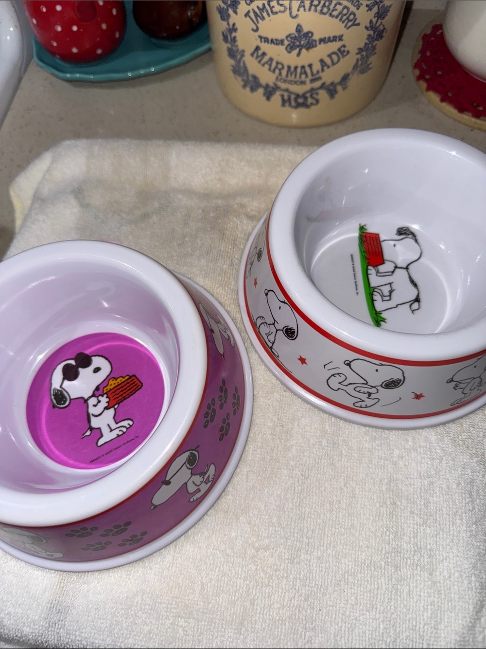 Peanuts melamine Dog Bowls Set - Purple and White with Snoopy Design